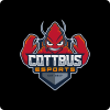 COTTBUS ESPORTS