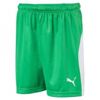 PUMA LIGA Shorts Jr Kinder Trikotshorts Bright Green-Puma White | 176