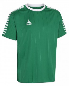 Select Argentina Trikot Indoor Jersey kurzarm grün-weiß | 14 (164)
