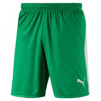 PUMA LIGA Shorts Trikotshorts Bright Green-Puma White | M