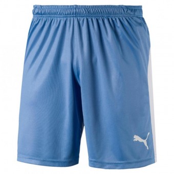 PUMA LIGA Shorts Trikotshorts Silver Lake Blue-Puma White | L