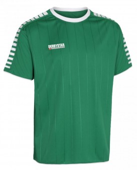 Derbystar Hyper Trikot Jersey kurzarm grün-weiß | XL