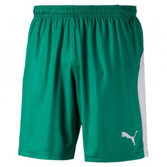 PUMA LIGA Shorts Trikotshorts Pepper Green-puma white | XL