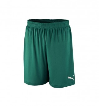 Puma Velize Shorts w. innerslip Trainingsshorts power green | XL